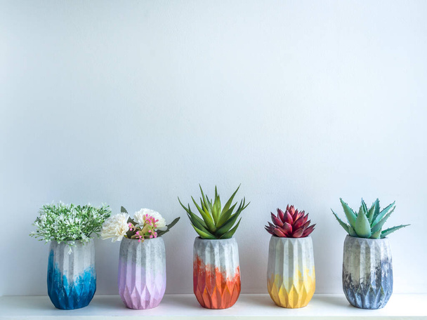 Cactus pot. Concrete pot. Colorful concrete planters with flowers and succulent plants on white wooden shelf isolated on white background with copy space. - Photo, Image