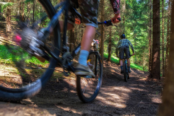 ciclistas de montaña paseos en sendero en el bosque
 - Foto, imagen