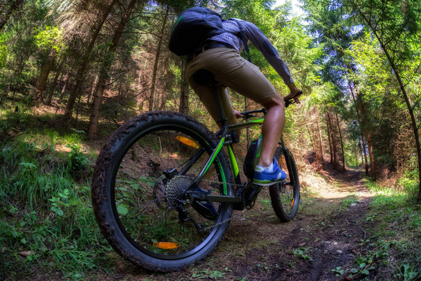 L'uomo in bici elettro-mountain bike sul sentiero nel bosco - Foto, immagini