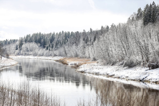 Vista sul paesaggio di campagna con il fiume Venta che scorre vicino a una bellissima foresta innevata. Foto scattata a Kuldiga, Lettonia
. - Foto, immagini
