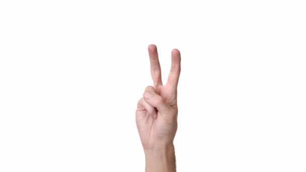 Menselijke hand op een witte achtergrond isoleren, de persoon toont twee vingers. Plaats om tekst of achtergrond in te voegen. Emoties van een persoon hand op een witte achtergrond. - Video