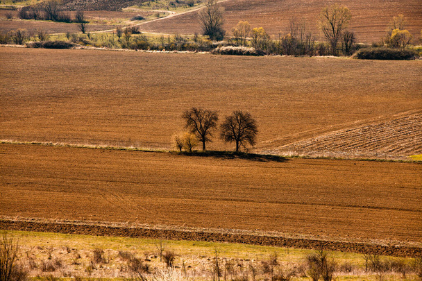 Uitzicht op het landbouwveld van het land op een zonnige zomerdag.Bodem, gecultiveerd vuil, aarde, grond, bruine land achtergrond. Lente in Moldavië. Geploegd landbouwveld onder mooie hemel. - Foto, afbeelding