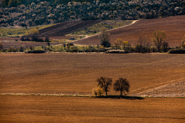 Pohled na venkovské zemědělské pole za slunečného letního denu.Půda, obdělávaná hlína, půda, půda, hnědá půda na pozadí. Jaro v Moldavsku. oraná zemědělská pole pod pěknou oblohou. - Fotografie, Obrázek