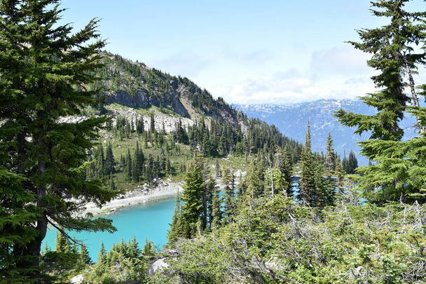 Whistler en Blackcomb zijn twee side-by-side bergen, met meer dan 200 gemarkeerde afdalingen, 8.171 hectare terrein, 16 alpine kommen en 3 gletsjers gecombineerd, ontvangen 1.181 centimeter sneeuw gemiddeld per jaar. - Foto, afbeelding