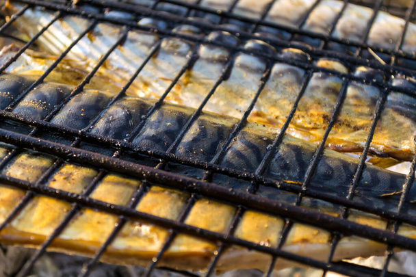 Baked mackerel fish on a fire. Mesh on the grill. - Photo, Image