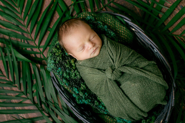 Little cute baby sleeps in a wicker basket of vines decorated with green palm leaves in a green blanket. Happy childhood - Foto, imagen