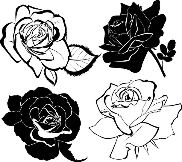 collection vectorielle de roses fleurs isolées
 - Vecteur, image