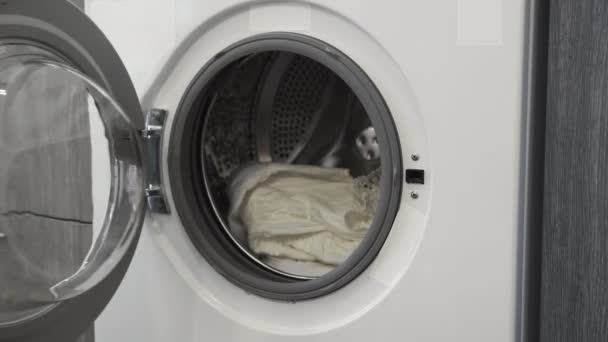 Kadın eli çamaşır makinesinden beyaz giysiler alıyor. Çamaşır makinesi yükleniyor. Giysileri çamaşır makinesine yükleyin. Çamaşır makinesini yükle. Çamaşır yıkıyorum. - Video, Çekim