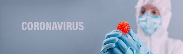 The doctor is holding a model of coronavirus. - 写真・画像