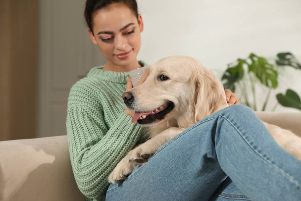 Young woman with cup of drink and her Golden Retriever on sofa at home. Adorable pet - Foto, Bild