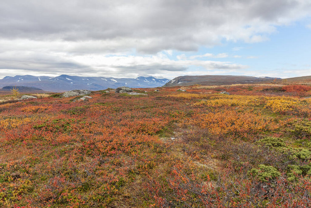 Mountains of Sarek National Park in Lapland, autumn, Sweden, selective focus - Fotoğraf, Görsel