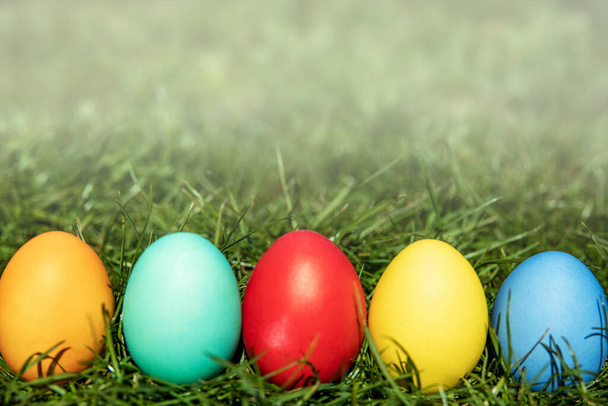 Разноцветные пасхальные яйца на траве с эффектом тумана, фон размыт, мелкая глубина резкости, селективная фокусировка. Пасхальный праздник
 - Фото, изображение