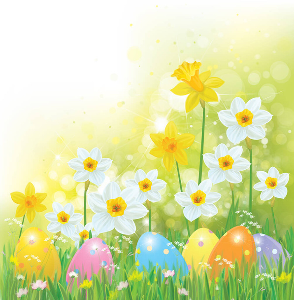 Vector Easter eggs in grass and daffodils, Easter background. - Vektor, kép