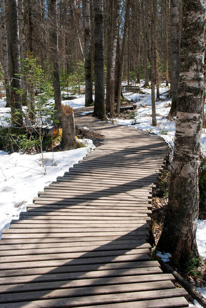 Piso de madeira na floresta. Um caminho em um parque natural para turistas
. - Foto, Imagem