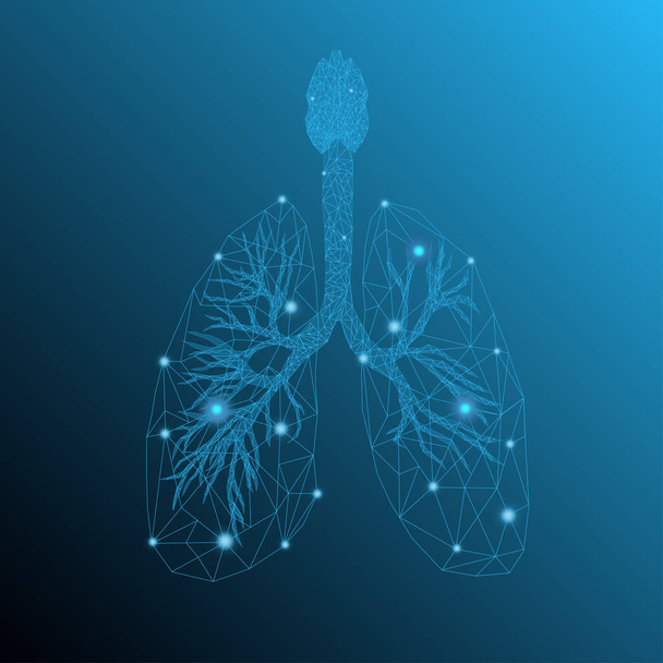 Transparente menschliche Lungen in blauem Hintergrund mit leichten Low-Poly-Effekten. - Vektor, Bild