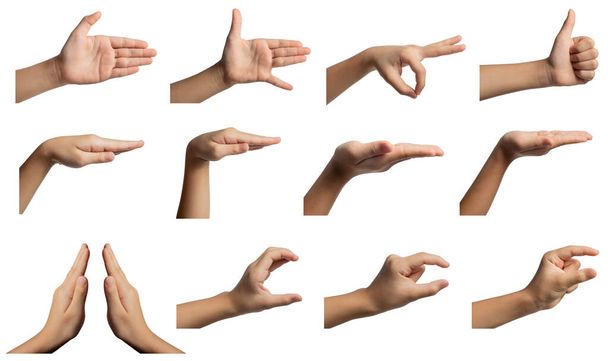 Izolované gesta rukou a signály z asijské ženské dětské ruky, více možností. Zahrnuje cestu k oříznutí. - Fotografie, Obrázek