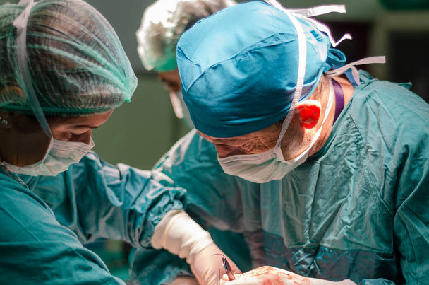 Konzentrierter Arzt und Assistent während einer Hysterektomie-Operation im Krankenhaus. - Foto, Bild