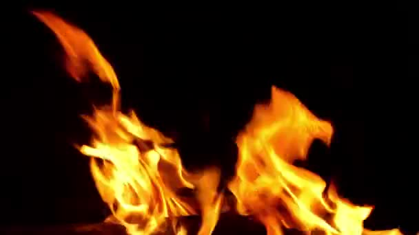 Oheň hoří na černém pozadí - Záběry, video