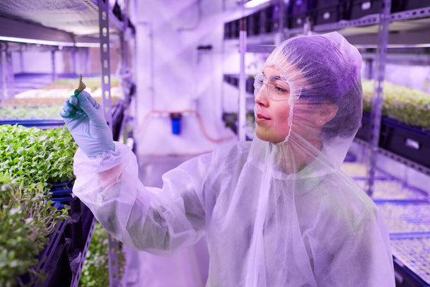 Boční pohled portrét ženského zemědělského inženýra držícího zelený list a usmívajícího se při práci ve skleníku, kopírovací prostor - Fotografie, Obrázek