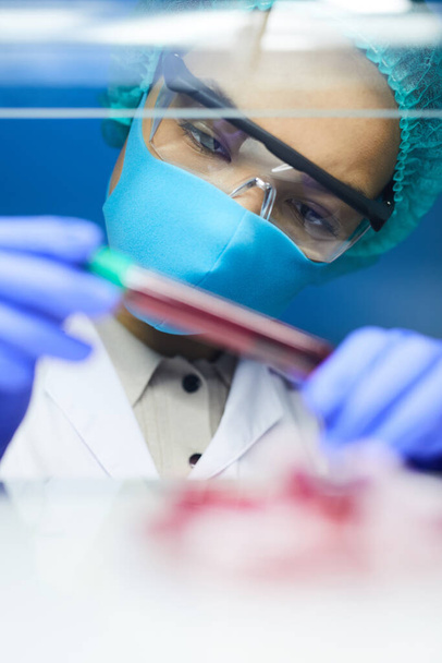 Porträt einer Wissenschaftlerin mit Reagenzglas und Blutprobe bei der Arbeit im Labor, Kopierraum - Foto, Bild