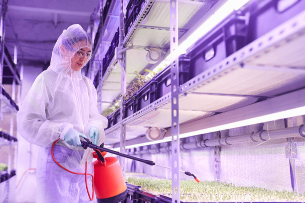 Pas nahoru portrét ženského zemědělského inženýra postřikování hnojiva při práci v rostlinné školce skleník osvětlený modrým světlem, kopírovací prostor - Fotografie, Obrázek