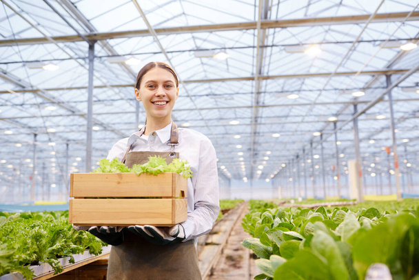 Low angle portrait of cheerful female worker carrying box of plants at industrial plantation in greenhouse, copy space - Фото, изображение