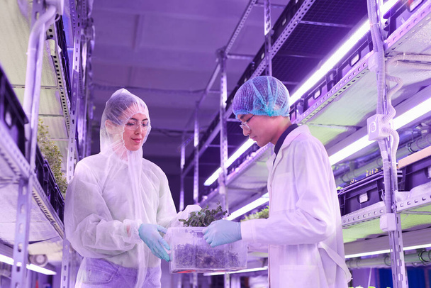 Низкоугловой портрет двух сельскохозяйственных инженеров, ухаживающих за растениями в теплице, освещенной голубым светом, копировальное пространство
 - Фото, изображение