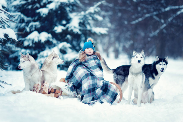 Little girl with Siberian Husky in the forest in winter - Foto, afbeelding