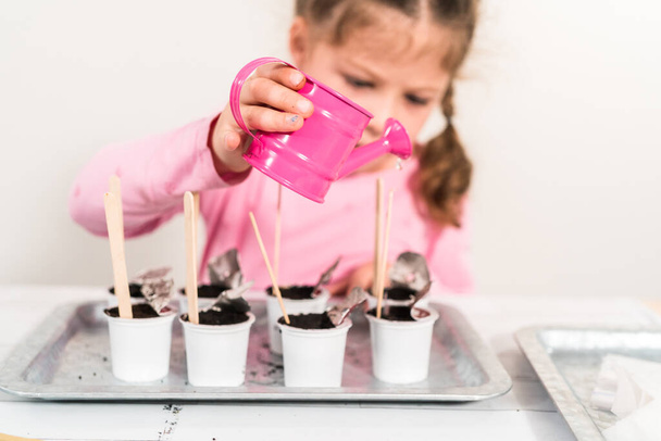 Маленька дівчинка посадить насіння в кавові каструлі, щоб почати критий овочевий сад
. - Фото, зображення
