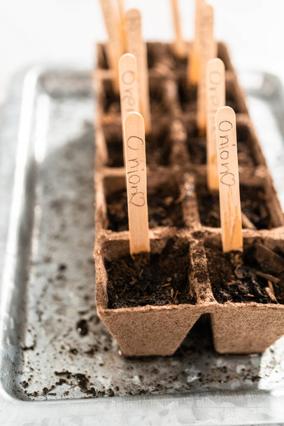 室内菜園を開始する泥炭の苔のポットに種を植える. - 写真・画像