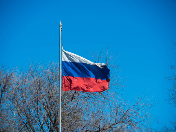 Een ontwikkelende Russische vlag op een vlaggenmast tegen een achtergrond van herfstbomen en een blauwe lucht. - Foto, afbeelding