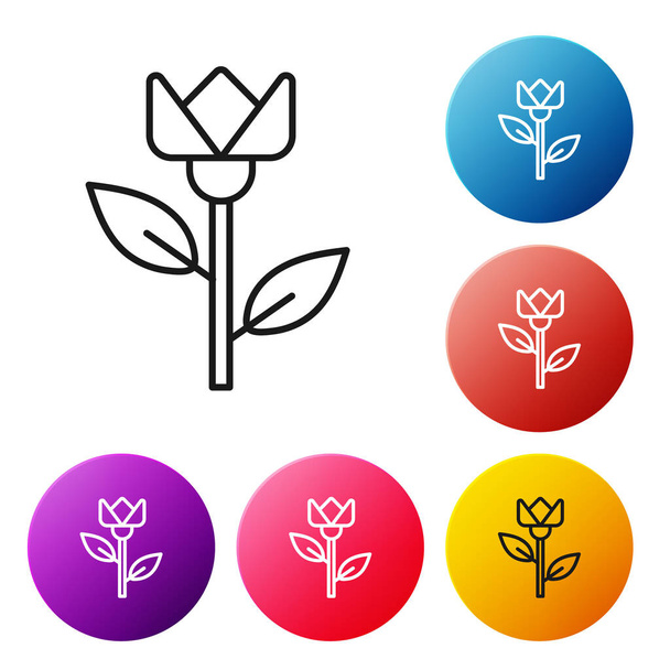 Ligne noire icône de tulipe fleur isolé sur fond blanc. Définir des icônes boutons de cercle colorés. Illustration vectorielle
 - Vecteur, image