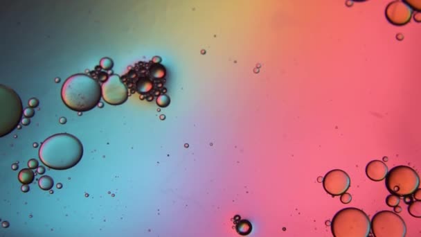 Рух різнокольорових бульбашок олії в рідині при повільному русі. Красива структура нафти і води в макро як природні фотографії тла
. - Кадри, відео