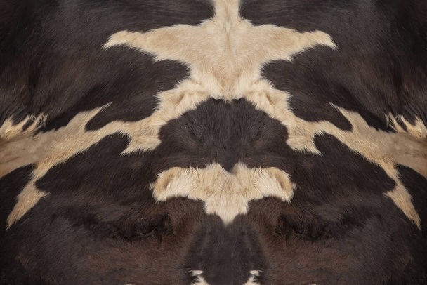 Originální kožená kůže kráva pro design.  - Fotografie, Obrázek