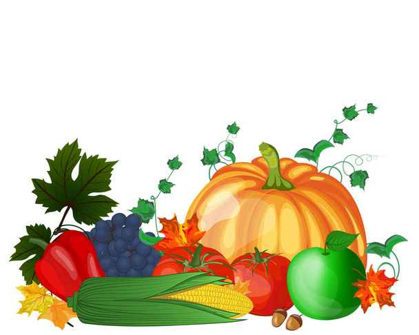 Tarjeta de felicitación del día de Acción de Gracias. El diseño consiste en calabaza, pimienta, tomate, manzana, uva, maíz, hojas de arce y bellotas de roble sobre fondo blanco. Colores muy lindos y cálidos. Ilustración vectorial
. - Vector, imagen
