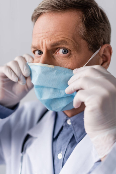 middle aged doctor in latex gloves touching blue medical mask isolated on grey  - Photo, Image