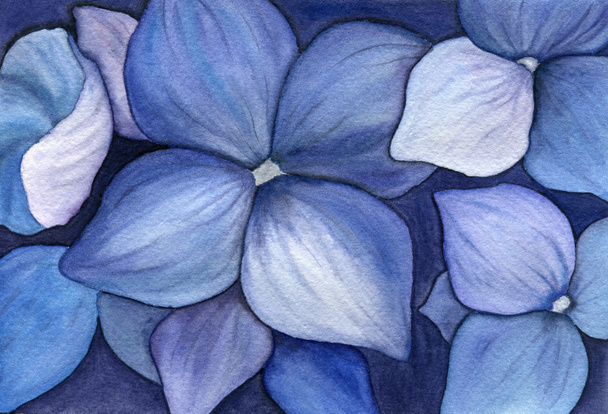 Mavi ortanca çiçekli suluboya arka plan, gerçekçi ortanca çiçekli güzel çiçek resmi. - Fotoğraf, Görsel