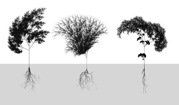 Zwarte naturalistische granen met wortelstelsel - vector illustratie - Vector, afbeelding