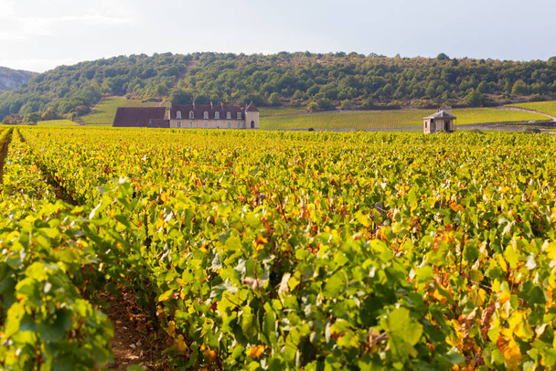 18 Eylül 2019. Burgundy, Fransa 'daki Vougeot Kalesi Manzarası. - Fotoğraf, Görsel