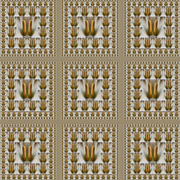 detalle de primer plano macro fotografía de doble blanco lirio de arum mágico tamaño de la alfombra reducción en forma de patrones y diseños
 - Foto, Imagen