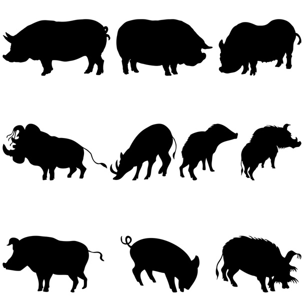 Pigs and boars silhouettes set - Vector, Image