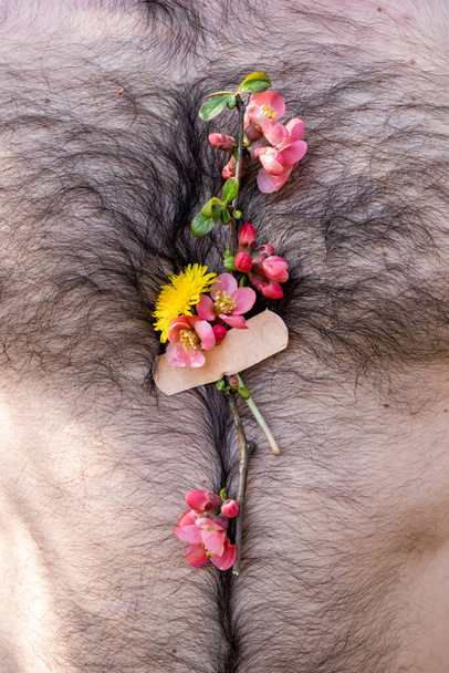 Mały bukiet wiosenne kwiaty przyklejone na ciele dorosłego brodatego mężczyzny. Czas wiosenny po pandemii. - Zdjęcie, obraz