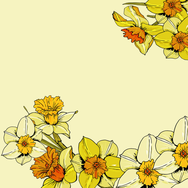 ダフォディの庭の花、繊細な緑、印刷フレーム、コピースペースを持つエレガントな花の背景。植物の結婚式招待状のデザイン、グリーティングカードテンプレート、バナー、ポスター、季節の販売. - ベクター画像
