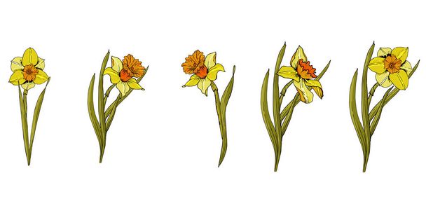 花のシームレスなパターン。リアルな植物のアウトラインのスケッチのデザインイラストを描く。庭のコンセプトで美しい - 写真・画像