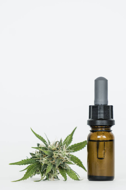 Close-up of hemp oil and marijuana buds. Medicinal extract oil in a bottle. Concept of using cannabis herb and leaves for treatment - Photo, image