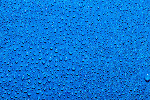 Macro water drops texture on a blue backdrop. Abstract pattern or blank for design. - Photo, Image
