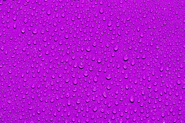 Macro water drops texture on a purple backdrop. Abstract pattern or blank for design. - Photo, Image