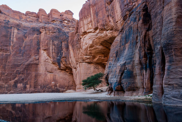 Trou d'eau Guelta d'Archei près de l'oasis, Plateau Ennedi, Tchad, Afrique
 - Photo, image