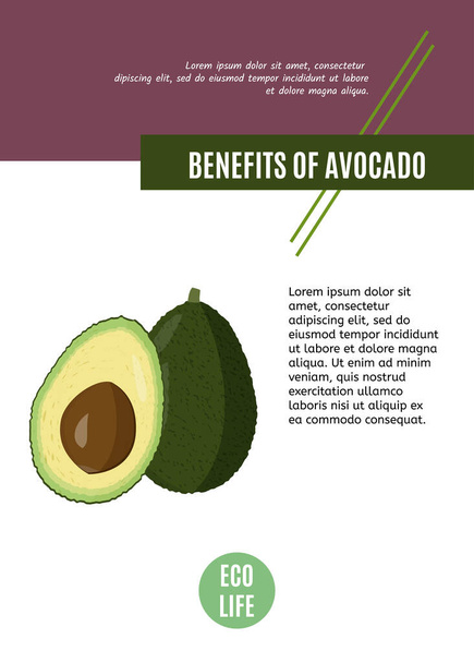 Vector ontwerp sjabloon voor artikel of webbanner van avocado met tekst gebied. Met de hand getekend avocado op witte achtergrond. - Vector, afbeelding
