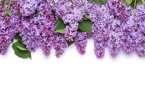 Border of lilac flowers. A bouquet of purple flowers is isolated on white background. View from above, flat lay concept. - Photo, Image